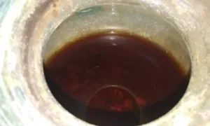 Bình rượu cổ nhất thế giới chứa xương người hỏa táng